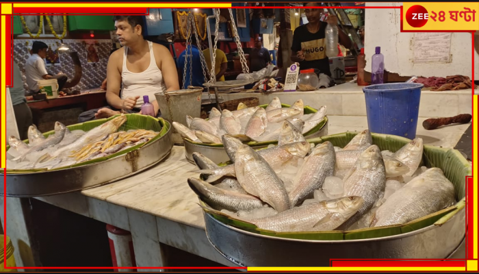 Hilsa Import: অবশেষে সব জটিলতা কাটিয়ে বাঙালির পাতে আসছে পদ্মার ইলিশ 