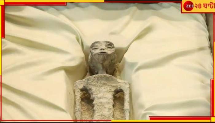 Alien Like Fossils Revealed: হাজার বছরের পুরনো এলিয়েনের কঙ্কালের ভিতরে ডিম কোথা থেকে এল!