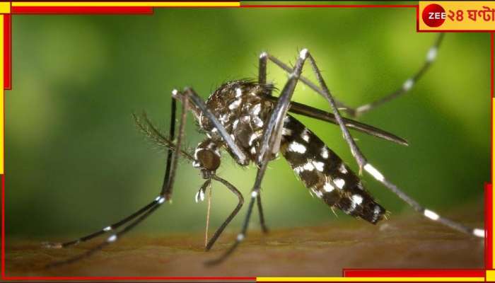 Dengue: শহরে ফের ডেঙ্গিতে মৃত্যু, ১০ দিনে আক্রান্ত বাড়ল ১১০০