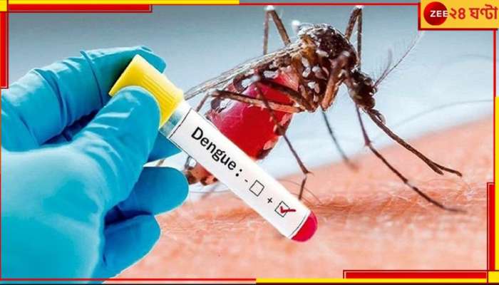 Dengue Death: ফের ডেঙ্গিমৃত্যু শহরে, মৃতের সংখ্যা বেড়ে ৬...