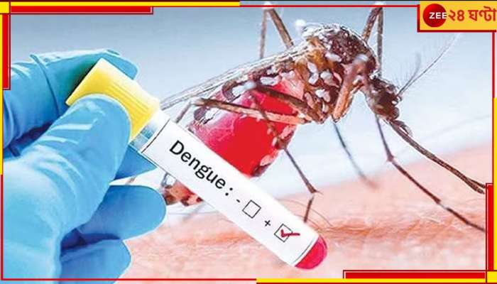 Dengue Meeting: ডেঙ্গি পরিস্থিতি বেগালাম! মুখ্যমন্ত্রী নির্দেশে নবান্নে জোড়া বৈঠক 