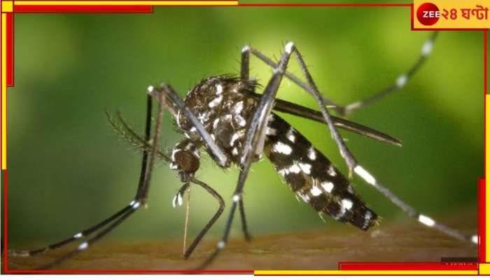 Malaria: ডেঙ্গি আতঙ্কের মাঝেই কলকাতায় ম্যালেরিয়া আক্রান্ত হয়ে মৃত্যু বৃদ্ধার