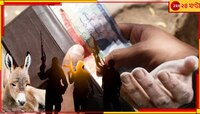 গাধা ও সন্ত্রাসবাদের পরে এবার ভিখারি 'রফতানি'! কোন দেশ করছে এমন আশ্চর্য সব কাণ্ড?
