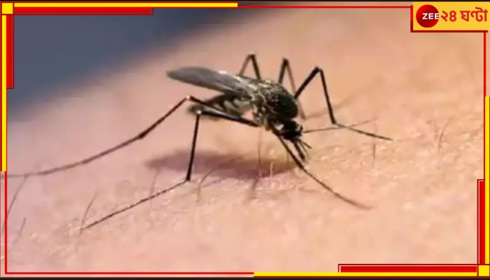 Dengue Death | Kolkata: ফের ডেঙ্গির বলি কলকাতায়, বেসরকারি নার্সিংহোমে মৃত ১৭ বছরের কিশোর