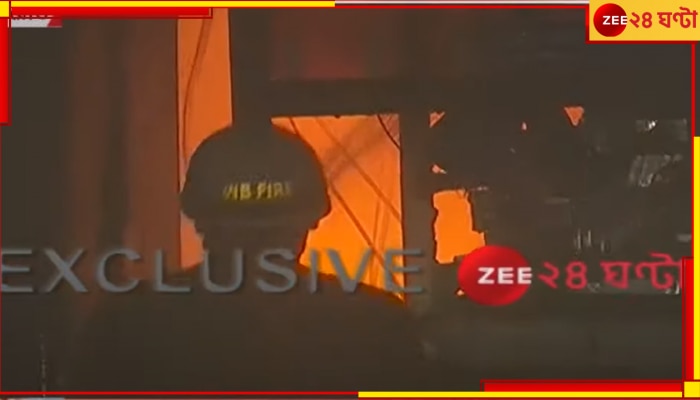 Kolkata Fire: ইলিয়ট রোডের গোডাউনে বিধ্বংসী আগুন, ঘটনাস্থলে দমকলের ১৫ ইঞ্জিন