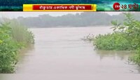 Bankura Flood: বাঁকুড়ায় বাড়ছে একাধিক নদীর জলস্তর, কয়েকটি সেতু জলের তলায় | Zee 24 Ghanta
