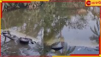 পুকুরে উল্টে গেল পুলকার! ষষ্ঠ শ্রেণির পড়ুয়ার মৃত্যু, আহত বেশ কয়েকজন