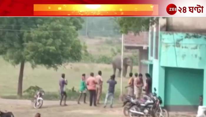 In Nayagram wild elephants attacked the area 2 dead