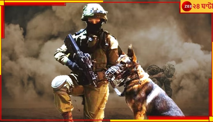 Israel Canine Unit Oketz: হামাসের সঙ্গে লড়াইয়ে দাপিয়ে বেড়াচ্ছে ইজরায়েলের সারমেয় বাহিনী, জেনে নিন K-9  সম্পর্কে
