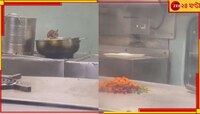 ট্রেনের প্যান্ট্রিতে ঘুরে বেড়াচ্ছে ইঁদুর, খুঁটে খাচ্ছে যাত্রীদের খাবার!