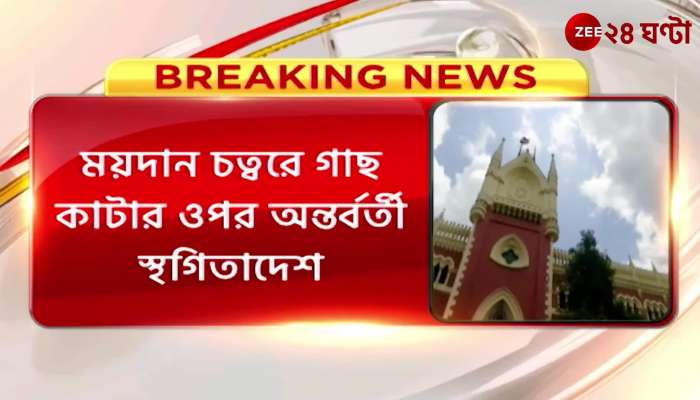 Calcutta High Court Interim stay of High Court on cutting of trees in Maidan square