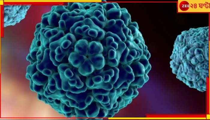 Next Pandemic: আবার অতিমারি, মৃত্যু? প্রাণঘাতী নতুন ৮ ভাইরাসের খোঁজ মিলল চিনে...