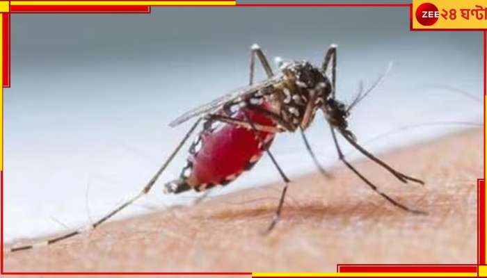 West Bengal dengue cases: ডেঙ্গি সংক্রমণে রাজ্যে রেকর্ড! কোন কোন জেলার পরিস্থিতি উদ্বেগজনক?