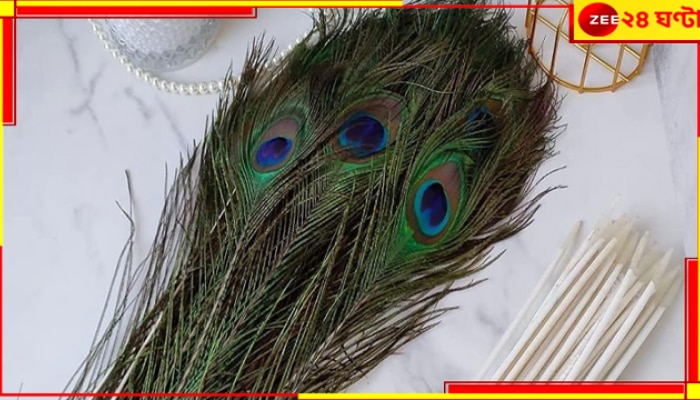 Peacock Feather: ধনী হতে চান? তাহলে বাড়িতে এইভাবে ময়ূরের পালক রাখুন!