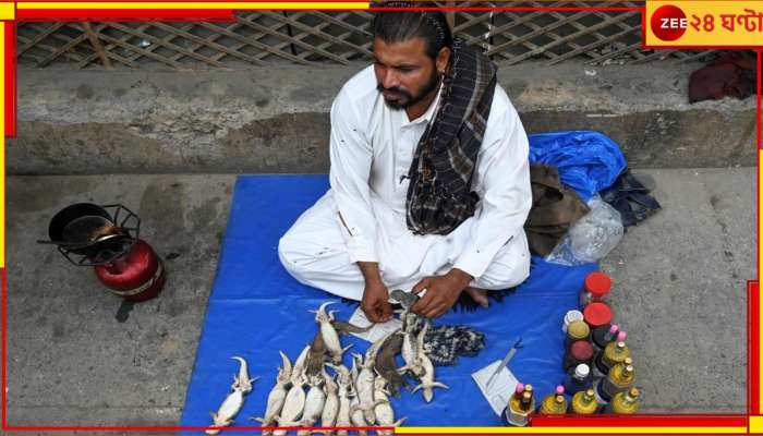 Lizard oil: জাপানি তেল অতীত, টিকটিকির তেলেই দৌড়চ্ছে পাকিস্তান!