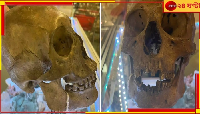 Halloween Shop: দোকানে বিক্রি হচ্ছে মানুষের খুলি! জেনে নিন এর অজানা রহস্য