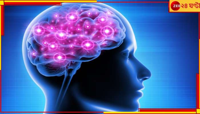 Brain strokes: শীতকালে বাড়ে ব্রেন স্ট্রোক! কেন এমনটা হয় জানেন?