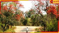 নয়া ইন্ডাস্ট্রি! পর্যটনকে এবার 'শিল্পে'র তকমা দিল পশ্চিমবঙ্গ সরকার...