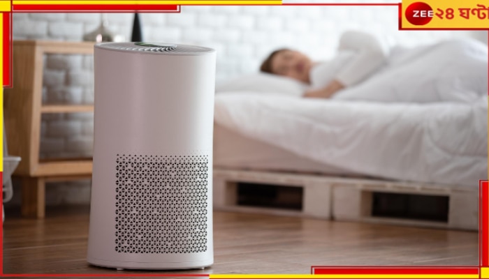 Air purifier: বাড়িতে এয়ার পিউরিফায়ার লাগিয়েছেন? জেনে নিন, বিদ্যুৎ কতটা খরচ হতে পারে...