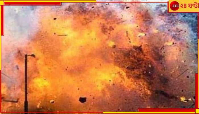 Murshidabad News: খাবার আনতে গিয়ে বোমায় জখম ৩ শিশু!