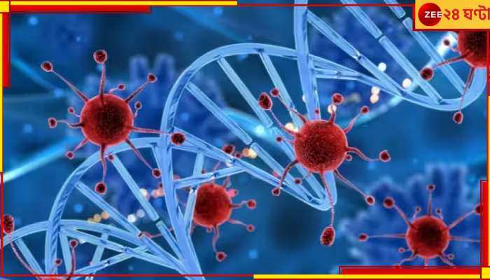 China's Mysterious 'Cocktail Of Virus': চিনে এবার 'ককটেল ভাইরাস'! কোভিডের থেকেও ভয়ংকর? 