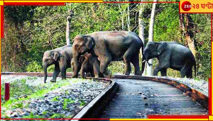 Elephant Death: ট্রেনের ধাক্কায় ৩ হাতির মৃত্যুর জের! স্বতঃপ্রণোদিত পদক্ষেপ জাতীয় গ্রিন ট্রাইব্যুনালের