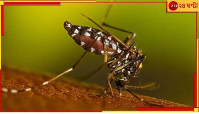 Dengue: শীতেও বাড়ছে ডেঙ্গি! রাজ্যে রেকর্ড সংক্রমণ..