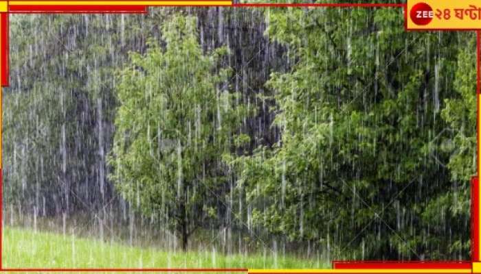 Rain in Bengal: পাকা ধান মাঠেই নষ্ট, সব্জিও ক্ষতির মুখে! শীতের মুখে হতাশ চাষিরা...