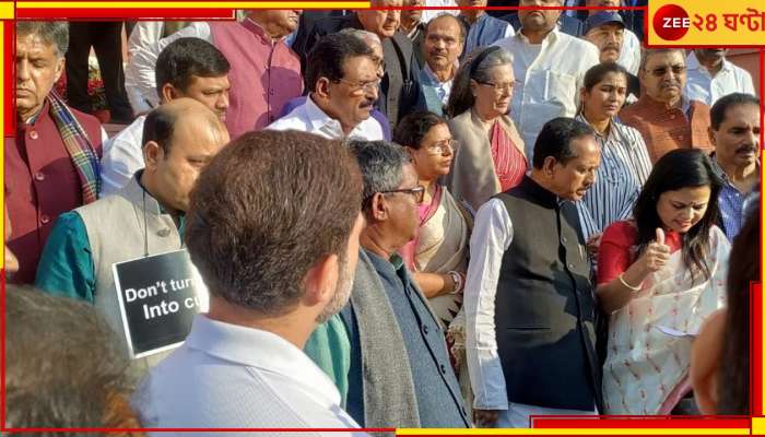 TMC on Mahua: &#039;যাঁরা হাত তুলল বিজেপির হয়ে, তাঁদের বেশিরভাগই তো আর ফিরে আসবে না সংসদে&#039;