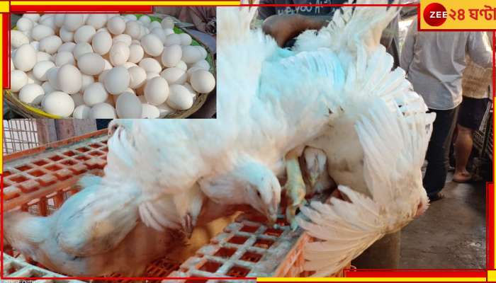Egg Chicken Price Hike: আরও চড়ল ডিমের দাম, পাল্লা দিয়ে চড়া চিকেনও!
