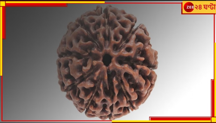 9 mukhi rudraksha: মৃত্যু ভয় দূর হবে, বাড়তে পারে আয়ু; ৯ মুখী রুদ্রাক্ষের এই গুণ জানেন...