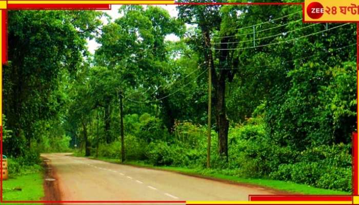 Jhargram: চিল্কিগড়-ঝাড়খণ্ড সড়ক বেহাল! সমস্যায় পড়ুয়া থেকে রোগী...