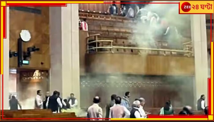 Parliament Attack: মহুয়া হলে বিজেপি-র প্রতাপ কেন নয়? বহিষ্কার প্রশ্নে সংসদে সরব তৃণমূল