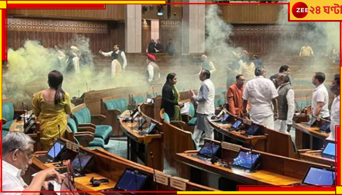 Parliament Attack | TMC: 'বিজেপি সাংসদকে কেন বহিষ্কার নয়'? স্বরাষ্ট্রমন্ত্রীর ইস্তফার দাবি তৃণমূলের
