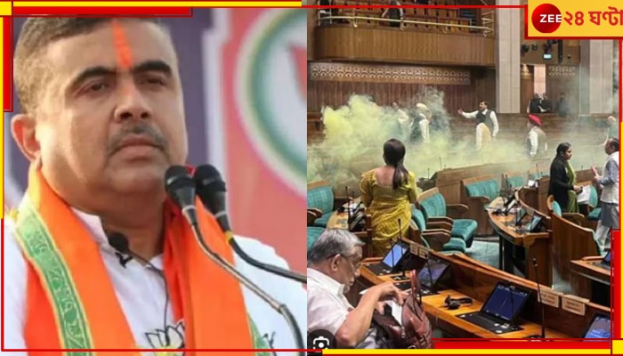 Parliament Attack | TMC: &#039;শুভেন্দু ঝাঁপ দিলে কোন পরিচয় সামনে আসত? তৃণমূল না বিজেপি&#039;? 