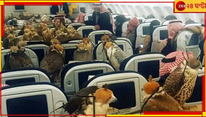 Saudi Prince Falcon: পোষ্য বাজপাখিদের জন্য কিনে ফেললেন বিমানের ৮০টি টিকিট, তুঘলকি কাণ্ড যুবরাজের 