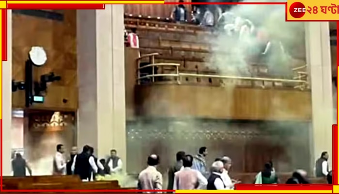 Parliament Security Breach: নিরাপত্তার গাফিলতি ঢাকতেই অভিযুক্তরা কোথাকার তা নিয়ে জল ঘোলা হচ্ছে, সরব তৃণমূল