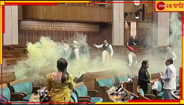 Parliament Attack: সংসদের নিরাপত্তা লঙ্ঘন! আলোচনার দাবি বিরোধীদের, সোমবার আইএনডিআইএ জোটের বৈঠকে মমতা