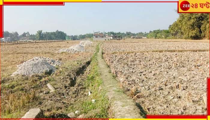 Malbazar: জমি মাফিয়াদের দাপটে ত্রস্ত স্বয়ং জমি মালিকই! রাতে অস্ত্রহাতে ঘরে ঢুকে হামলা?