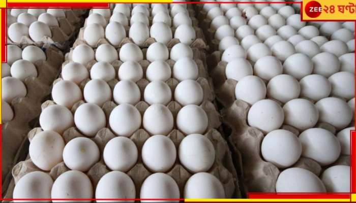 Kolkata Egg Prices: কলকাতায় ডিমের দাম ছাড়াল ৭ টাকা, এই প্রথম...