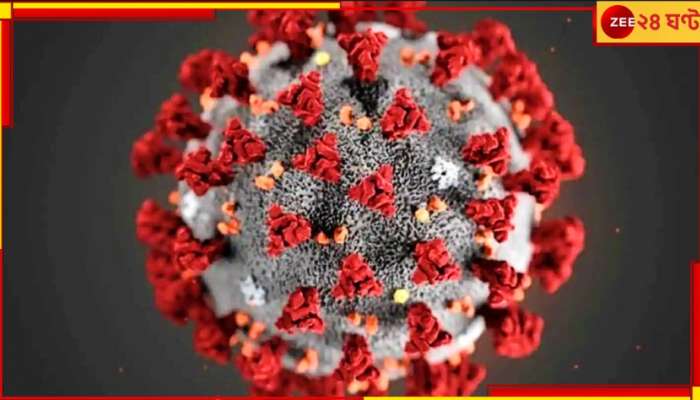 Covid in India: দেশে করোনার নতুন ভ্যারিয়েন্ট 'পিরোলা', তবে 'আতঙ্কের কিছু নেই'...