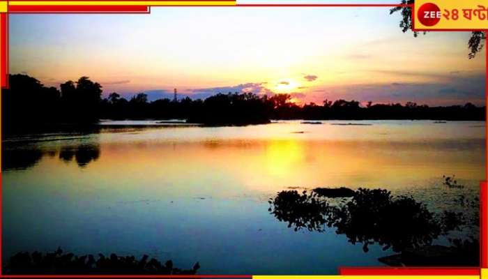 Purulia: সাহেব বাঁধের কচুরি পানা, আলো আর দূষণের সঙ্গে লড়ছে দূর দেশের পাখিরা...   