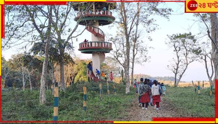 Gorumara National Park: নতুন বছরে ভ্রমণের নতুন ঠিকানা? জেনে নিন ক্যাম্প আর ওয়াচটাওয়ারের খবর...