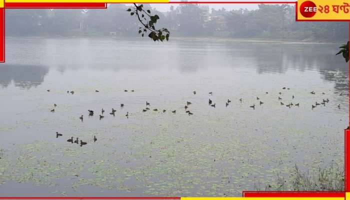 Cold Day: উষ্ণ বর্ষশেষে নতুন করে পড়া ঠান্ডায় জবুথবু সারা বাংলা...