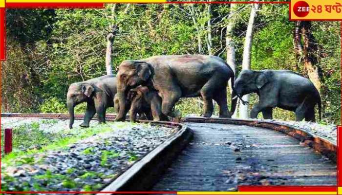 Jalpaiguri: জঙ্গলপথে ট্রেনের উদ্দাম গতির বলি আর হতে হবে না বন্যপ্রাণীদের...