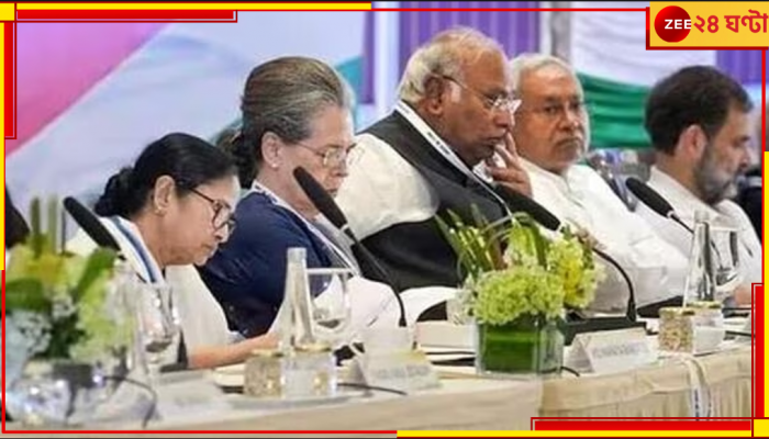 I.N.D.I.A. Bloc: জাতীয় দলের তকমা হারিয়েও জোটে দাদাগিরি তৃণমূলের! বঙ্গে মাত্র ২ আসন কংগ্রেসকে?