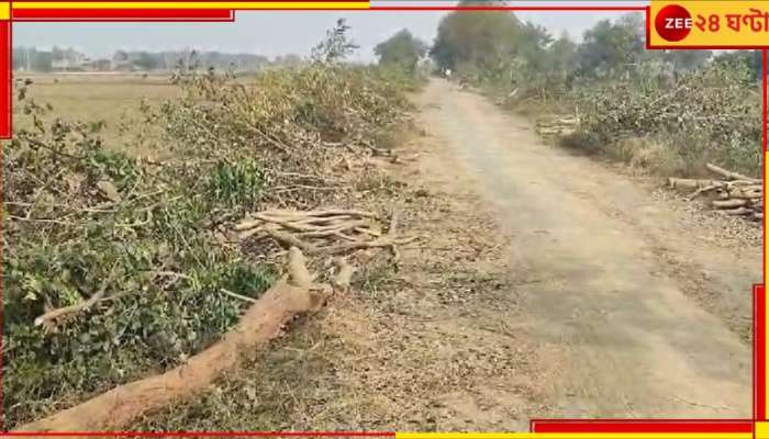 Birbhum: সেচ খাল সংস্কারের নামে লক্ষ লক্ষ টাকার গাছ কেটে সাফ? 