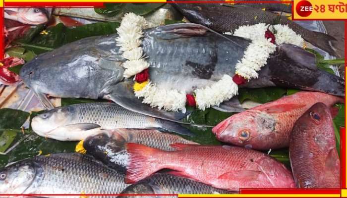 Hooghly: রঘুনাথ গোস্বামী ও শরৎচন্দ্রের স্মৃতিভূমিতেই ৫০০ বছর ধরে হয়ে আসছে অসাধারণ এই মাছমেলা...  