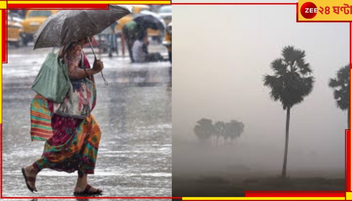 West Bengal Weather Update: বুধবার থেকেই বৃষ্টি বঙ্গে? শীত কি তবে বিদায় নিচ্ছে?