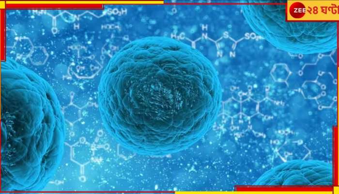 Disease X: আতঙ্কে কাঁপছে সারা বিশ্ব! করোনার চেয়েও ২০ গুণ বেশি মানুষ মরবে অজানা এই ভাইরাসে!